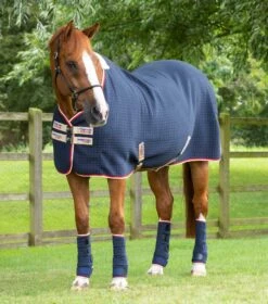 PremTex Horse Cooler Rug -Premier Equine Premtex cooler navy 1