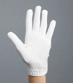 Presa Mesh Competition Riding Gloves 13 Presa Mesh Competition Riding Gloves -Premier Equine Presa White image6 28a326a3 c540 4ef5 a6ae 2889eb3ac917