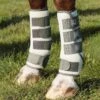 Pro-Tech Bug & Fly Boots -Premier Equine Pro Tech Bug and Fly Boots 1 9a0b24a6 a9a1 4f99 b1ad 827ea2340af4