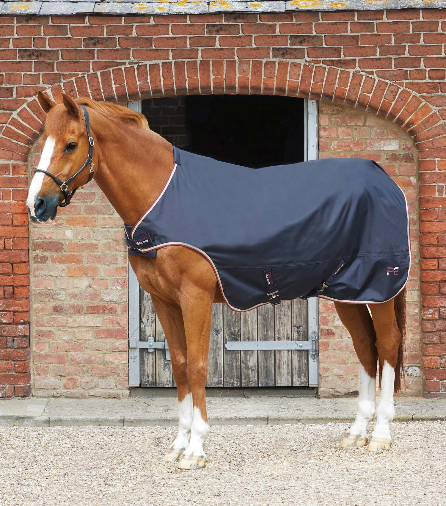 Horse Walker Rug 0g 3 Horse Walker Rug 0g