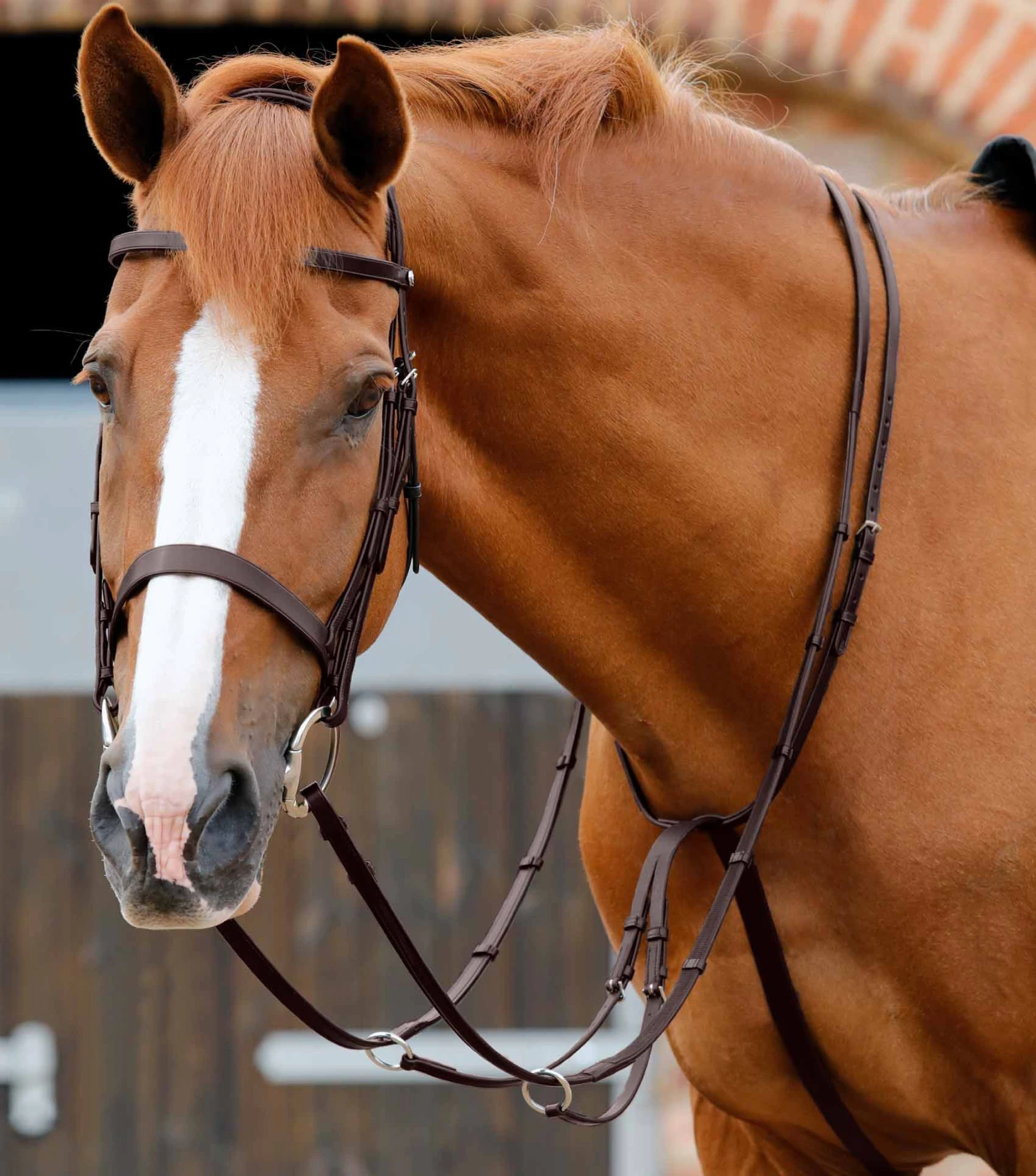 Santadi Adjustable Running Martingale 8 Santadi Adjustable Running Martingale - Image 6