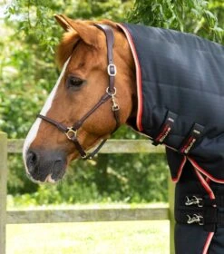 Premier Equine -Premier Equine Stable Buster 200 Stable Rug Black 2