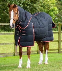 Stable Buster 450g Stable Rug With Neck Cover
