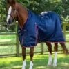 Stable Buster Lite 100g 2 Stable Buster Lite 100g -Premier Equine Stable Buster Lite 100 Stable Rug 1 5c008d0f 4ed3 4b35 abaf 5b31793f7877