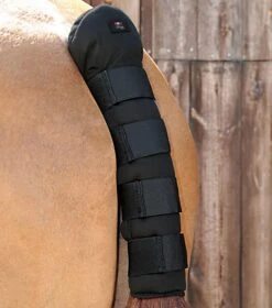 Stay-Up Horse Tail Guard 26 Stay-Up Horse Tail Guard -Premier Equine Stay Up Tail Guard Black 1