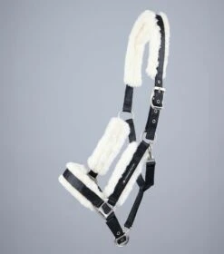 Techno Wool Lined Head Collar -Premier Equine Techno Wool Lined Head Collar Black 2