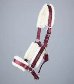 Techno Wool Lined Head Collar -Premier Equine Techno Wool Lined Head Collar Burgundy 2