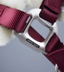 Techno Wool Lined Head Collar -Premier Equine Techno Wool Lined Head Collar Burgundy 6