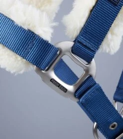 Techno Wool Lined Head Collar -Premier Equine Techno Wool Lined Head Collar Navy 6
