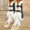 Techno Wool Tendon Boots -Premier Equine Techno Wool Tendon Boot Black 1