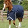 Titan 100g Original Turnout Rug 2 Titan 100g Original Turnout Rug -Premier Equine Titan 100 Original Turnout Rug Navy 1