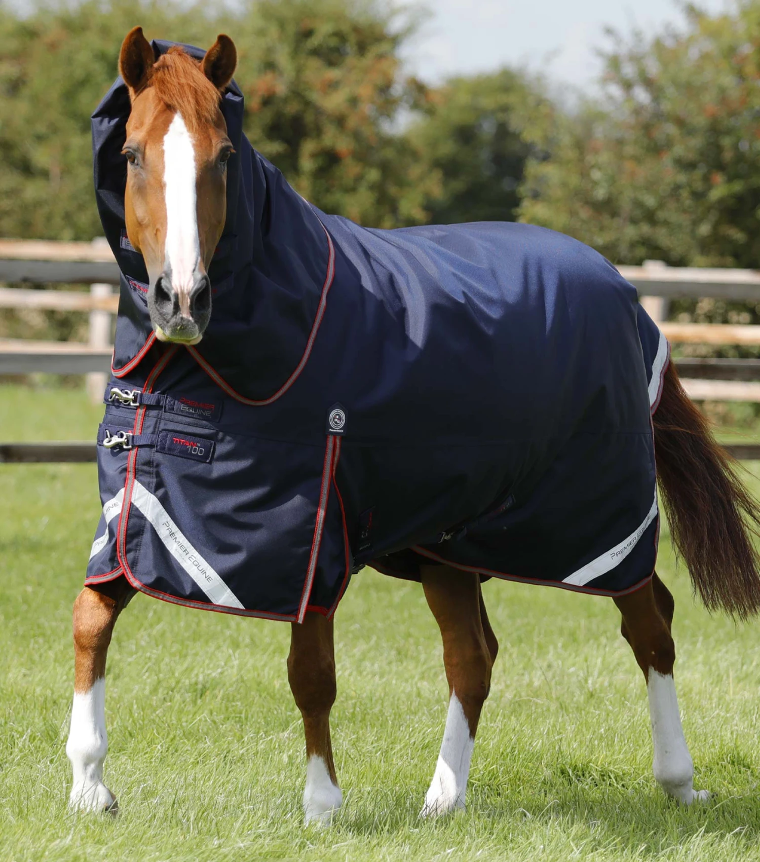 Titan 100g Turnout Rug With Snug-Fit Neck Cover 3 Titan 100g Turnout Rug With Snug-Fit Neck Cover