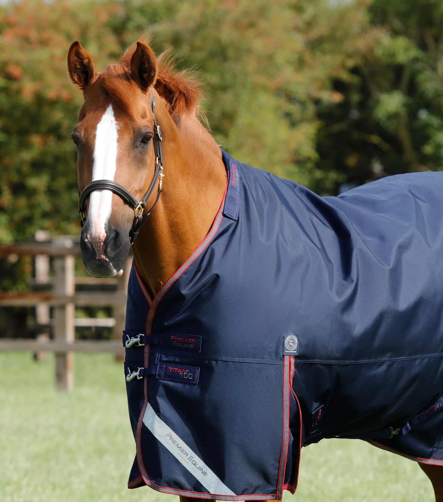 Titan 100g Turnout Rug With Snug-Fit Neck Cover 4 Titan 100g Turnout Rug With Snug-Fit Neck Cover - Image 2