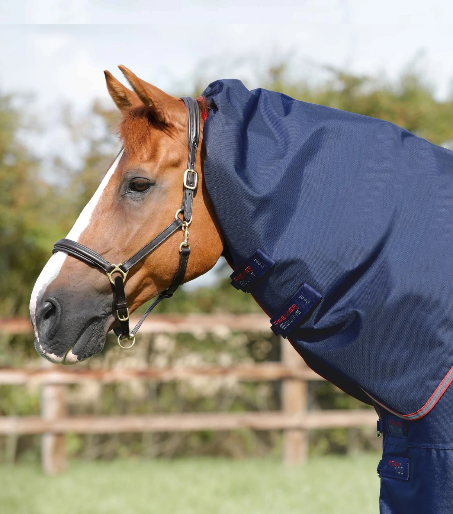 Titan 100g Turnout Rug With Snug-Fit Neck Cover 5 Titan 100g Turnout Rug With Snug-Fit Neck Cover - Image 3