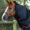 Titan 100g Turnout Rug Neck Covers (100g Fill) 1 Titan 100g Turnout Rug Neck Covers (100g Fill) -Premier Equine Titan 100 Turnout Rug Neck Cover Black 2