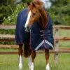 Titan 200g Original Turnout Rug -Premier Equine Titan 200 Original Turnout Rug Navy 1
