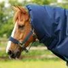 Titan 200g Turnout Rug Neck Cover (200g Fill)