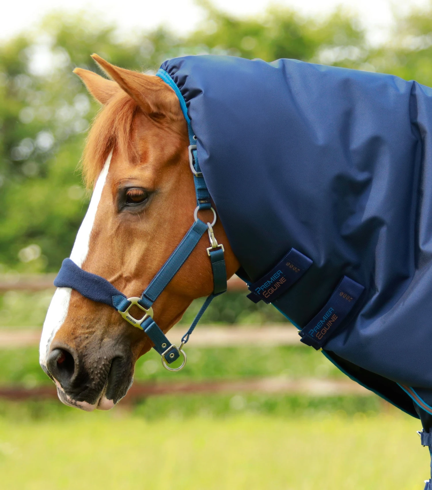 Titan 200g Turnout Rug Neck Cover (200g Fill) 3 Titan 200g Turnout Rug Neck Cover (200g Fill)