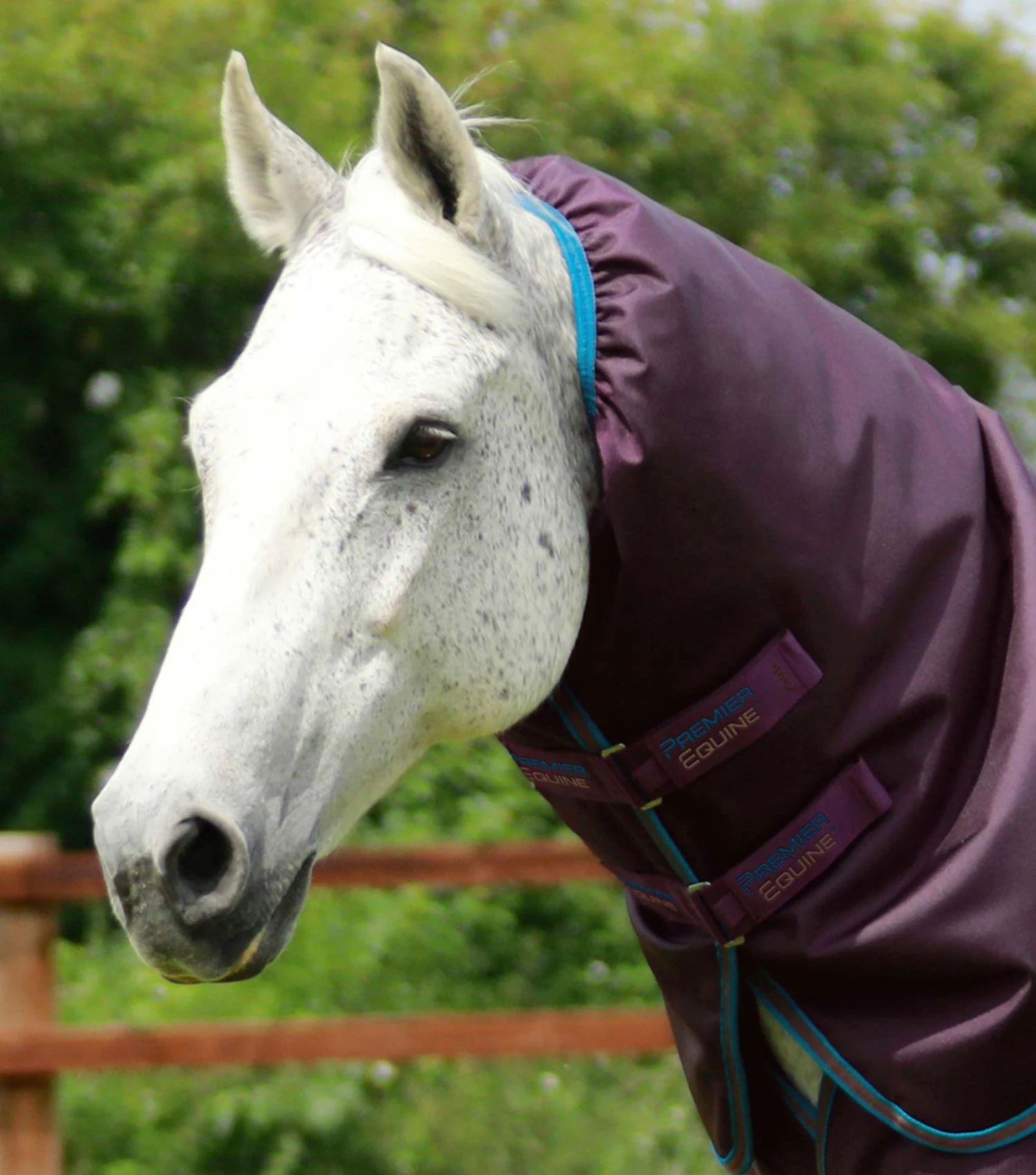 Titan 200g Turnout Rug Neck Cover (200g Fill) 4 Titan 200g Turnout Rug Neck Cover (200g Fill) - Image 2