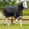 Titan 300g Turnout Rug With Snug-Fit Neck Cover