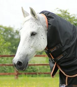 Titan 300g Turnout Rug With Snug-Fit Neck Cover -Premier Equine Titan 300 Turnout Rug Black 3