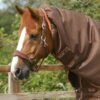 Titan 300g Turnout Rug Neck Cover (200g Fill) -Premier Equine Titan 300 Turnout Rug Neck cover Brown 3
