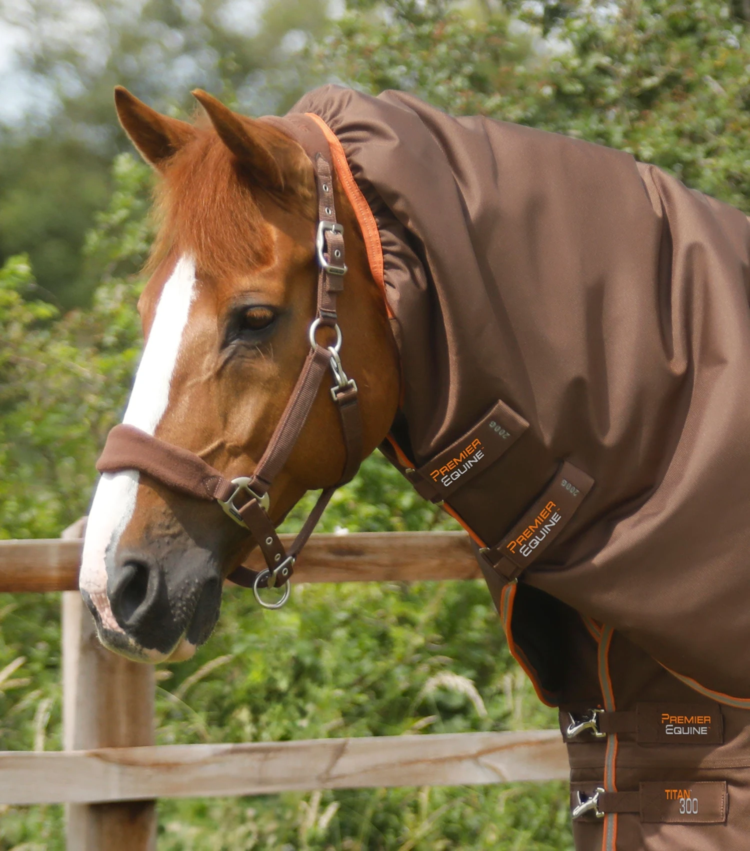 Titan 300g Turnout Rug Neck Cover (200g Fill) 3 Titan 300g Turnout Rug Neck Cover (200g Fill)