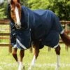 Titan 40g Turnout Rug With Snug-Fit Neck Cover 1 Titan 40g Turnout Rug With Snug-Fit Neck Cover -Premier Equine Titan 40 Turnout Rug Navy 1