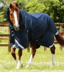 Titan 40g Turnout Rug With Snug-Fit Neck Cover