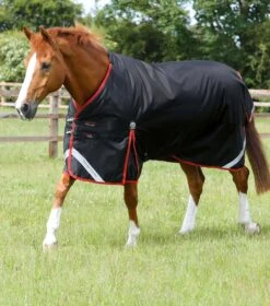 Titan 450g Original Turnout Rug -Premier Equine Titan 450 Original Turnout Rug Black 1 682aee18 ca88 441a 9cd4 b0ed0df7c447