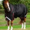 Titan 450g Turnout Rug With Snug-Fit Neck Cover -Premier Equine Titan 450 Turnout Rug Black 1