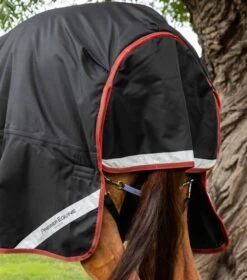 Titan 450g Turnout Rug With Snug-Fit Neck Cover 16 Titan 450g Turnout Rug With Snug-Fit Neck Cover -Premier Equine Titan 450 Turnout Rug Black 6