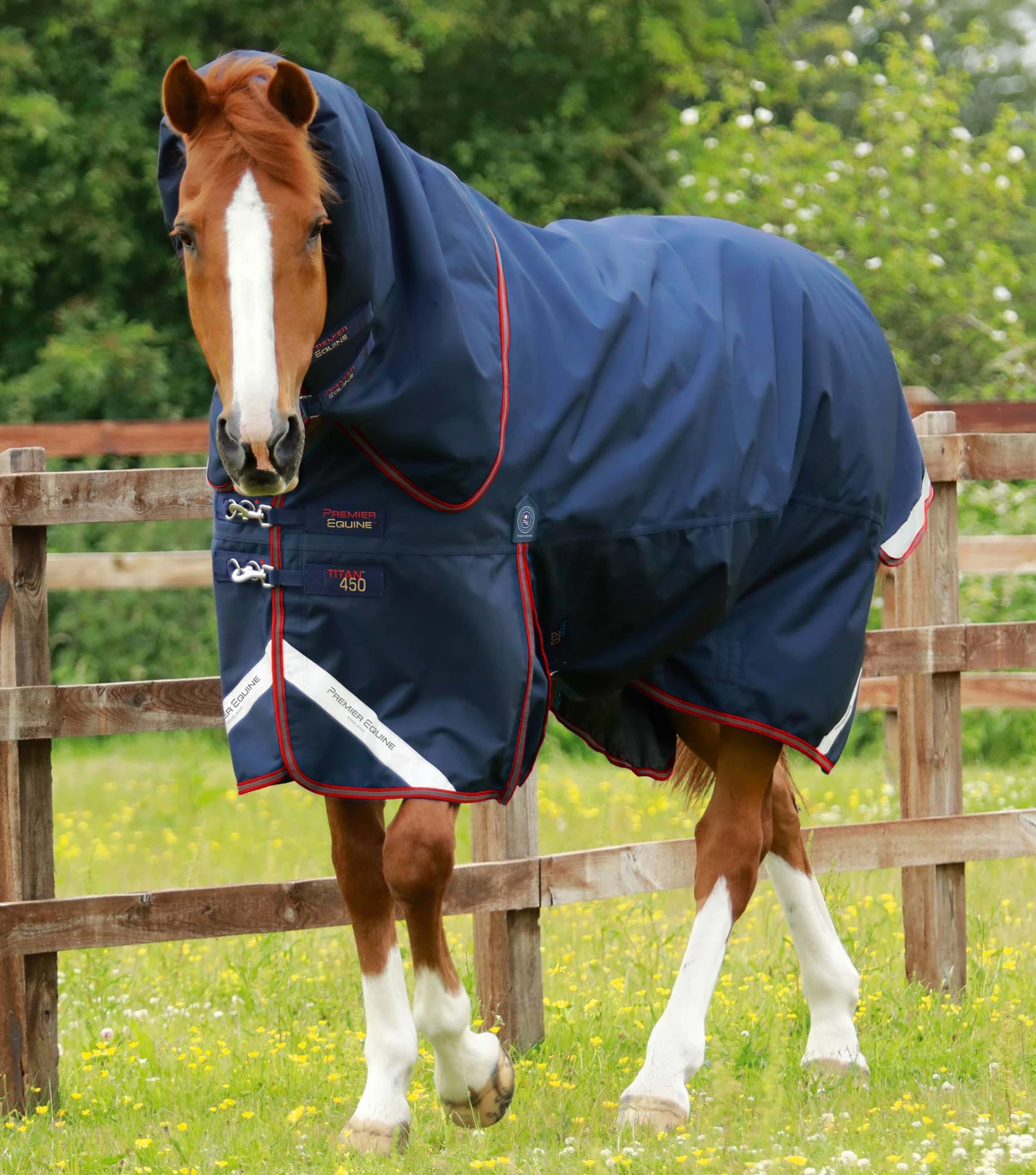 Titan 450g Turnout Rug With Snug-Fit Neck Cover 8 Titan 450g Turnout Rug With Snug-Fit Neck Cover - Image 6