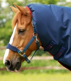Titan 450g Turnout Rug With Snug-Fit Neck Cover 18 Titan 450g Turnout Rug With Snug-Fit Neck Cover -Premier Equine Titan 450 Turnout Rug Navy 2