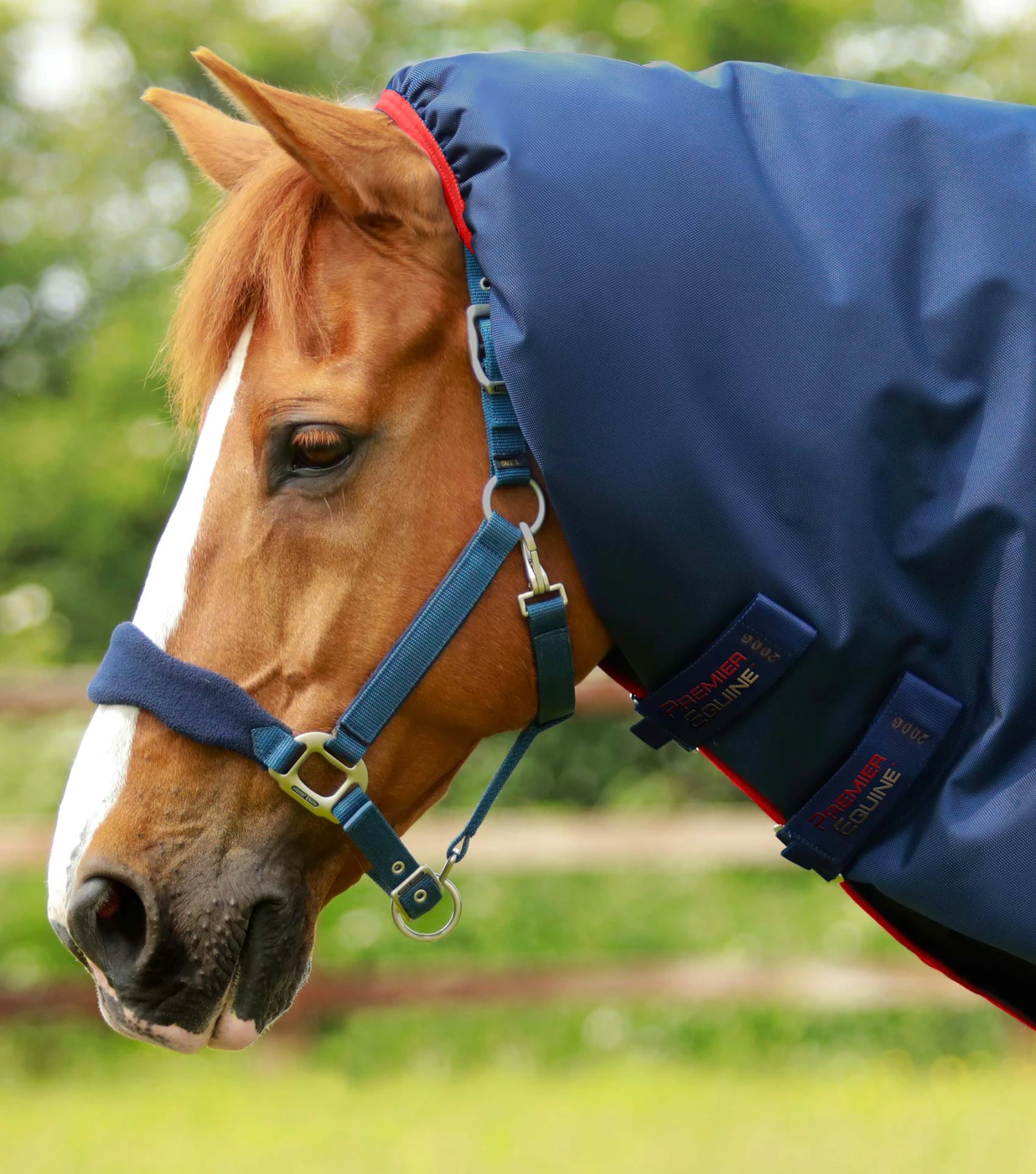 Titan 450g Turnout Rug Neck Cover (200g Fill) 4 Titan 450g Turnout Rug Neck Cover (200g Fill) - Image 2
