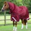 Titan 50g Turnout Rug With Classic Neck Cover -Premier Equine Titan 50g Turnout Rug inc Neck Burgundy 1