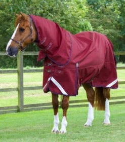 Titan 50g Turnout Rug With Classic Neck Cover