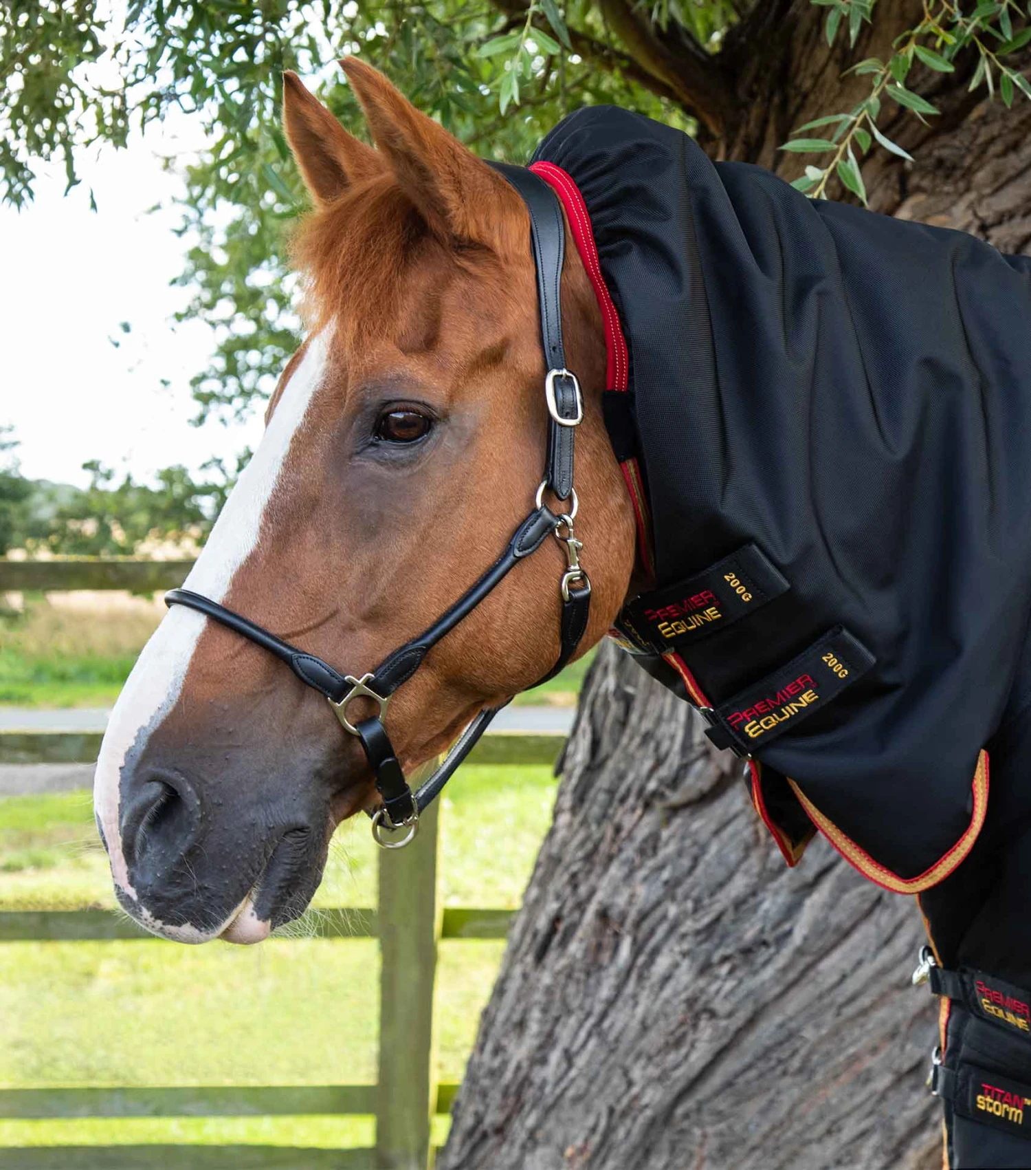Titan Storm 450g Combo Turnout Rug With Snug-Fit Neck 4 Titan Storm 450g Combo Turnout Rug With Snug-Fit Neck - Image 2