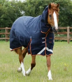 Titan Storm 450g Combo Turnout Rug With Snug-Fit Neck 17 Titan Storm 450g Combo Turnout Rug With Snug-Fit Neck -Premier Equine Titan Storm 450 Turnout Rug Navy 1