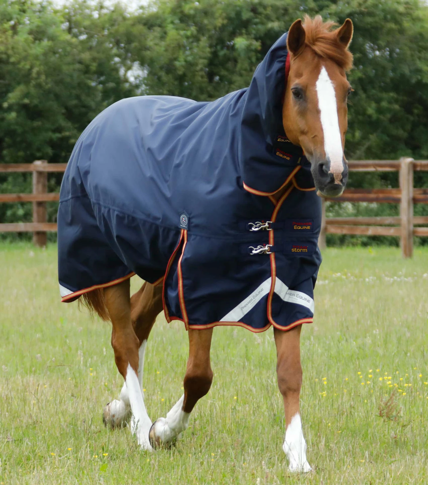 Titan Storm 450g Combo Turnout Rug With Snug-Fit Neck 8 Titan Storm 450g Combo Turnout Rug With Snug-Fit Neck - Image 6