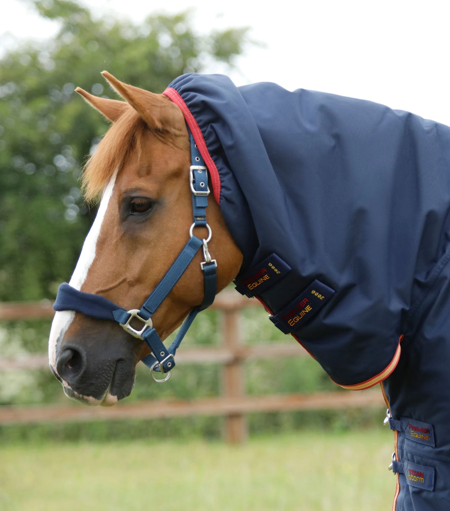 Titan Storm 450g Combo Turnout Rug With Snug-Fit Neck 9 Titan Storm 450g Combo Turnout Rug With Snug-Fit Neck - Image 7