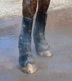 Turnout/ Mud Fever Boots -Premier Equine Turnout Xtra Pro Wet Edit web