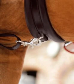 Valbrona Performance Breastplate -Premier Equine Valbrona Performance Breastplate Brown 4