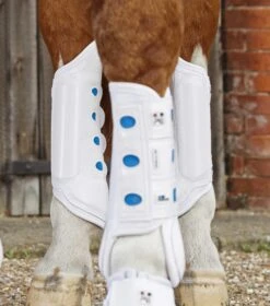 Air Cooled Original Eventing Boots -Premier Equine air cooled original white hind 1