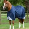 Akoni 0g Original Turnout Rug 2 Akoni 0g Original Turnout Rug -Premier Equine akoni 0g original navy 1