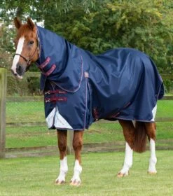 Akoni 0g Turnout Rug With Classic Neck Cover