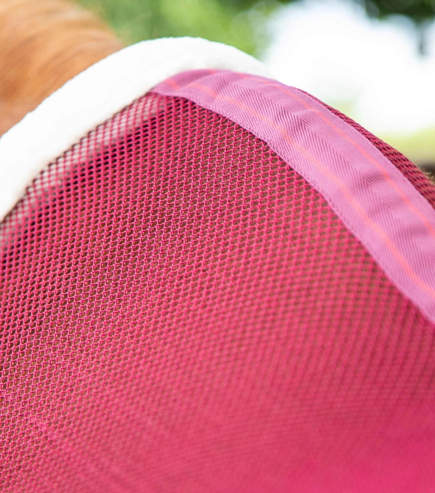 Arisca Scrim Cooler 6 Arisca Scrim Cooler - Image 4