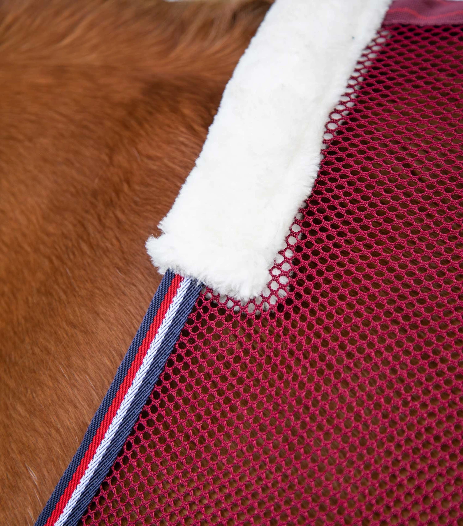 Arisca Scrim Cooler 4 Arisca Scrim Cooler - Image 2