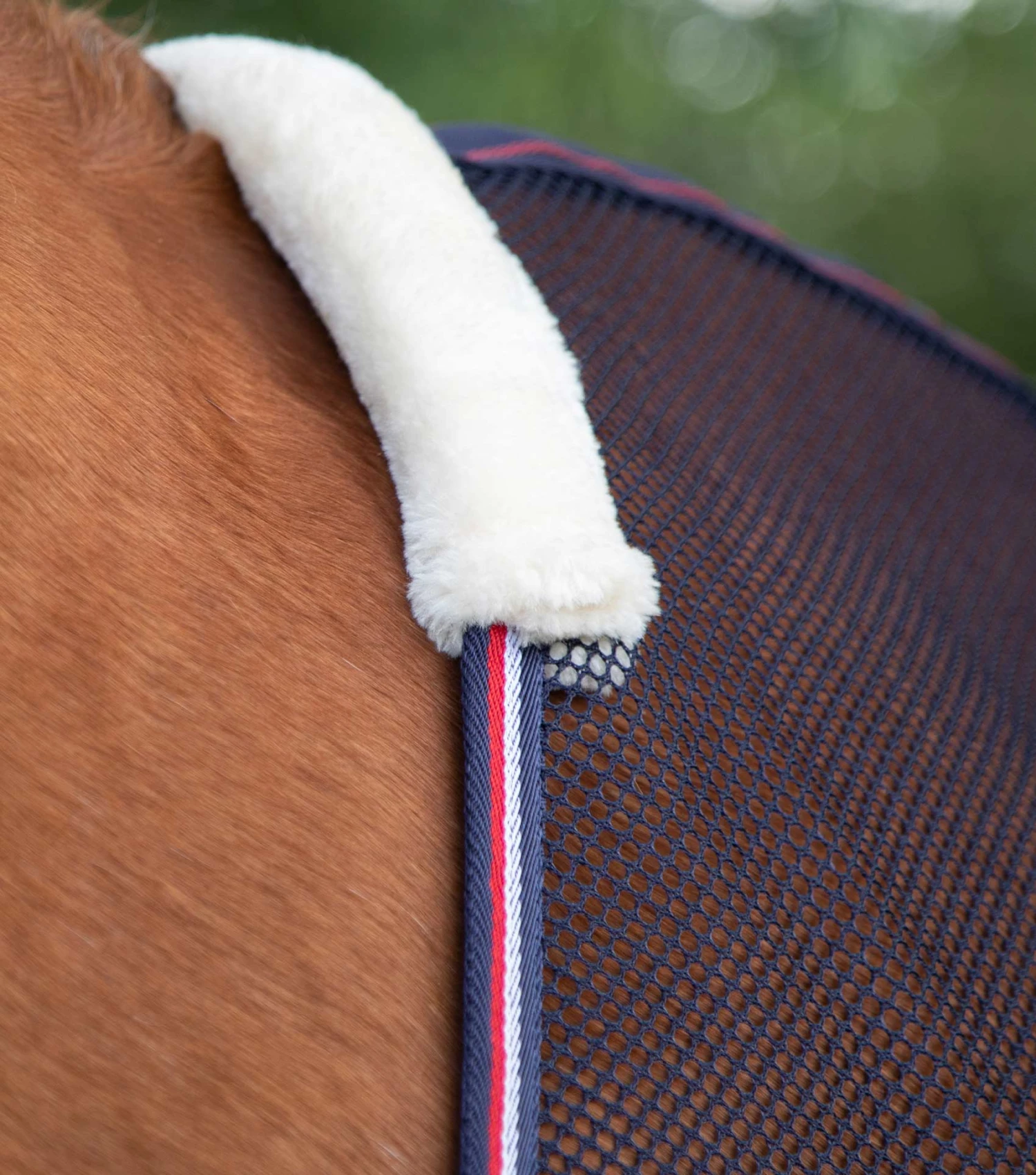 Arisca Scrim Cooler 9 Arisca Scrim Cooler - Image 7