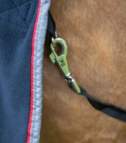 Asure Fleece Rug 25 Asure Fleece Rug -Premier Equine asure fleece rug 201550blk 954887